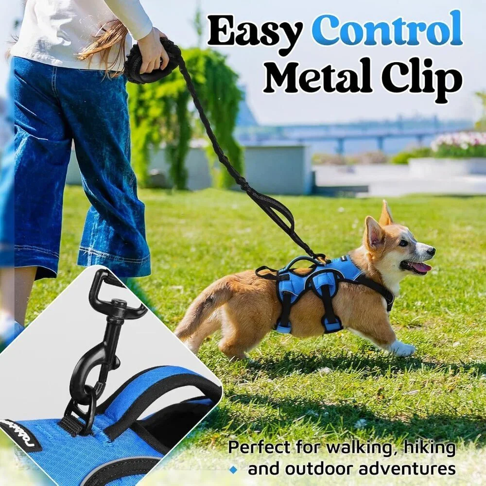 Escape Proof Dog Harness